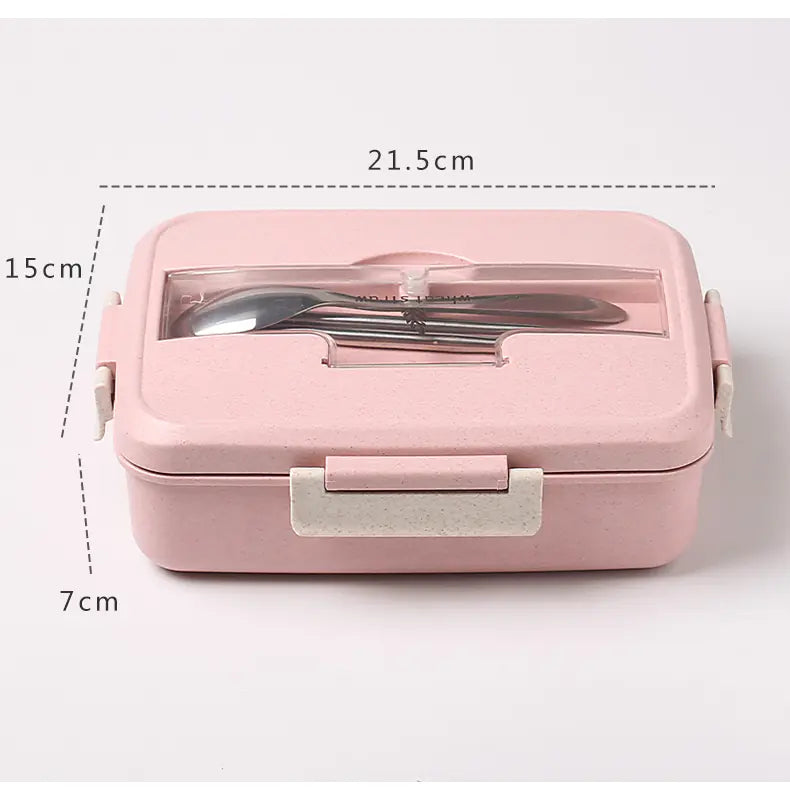 Eco-Friendly Divided Lunch Box Set