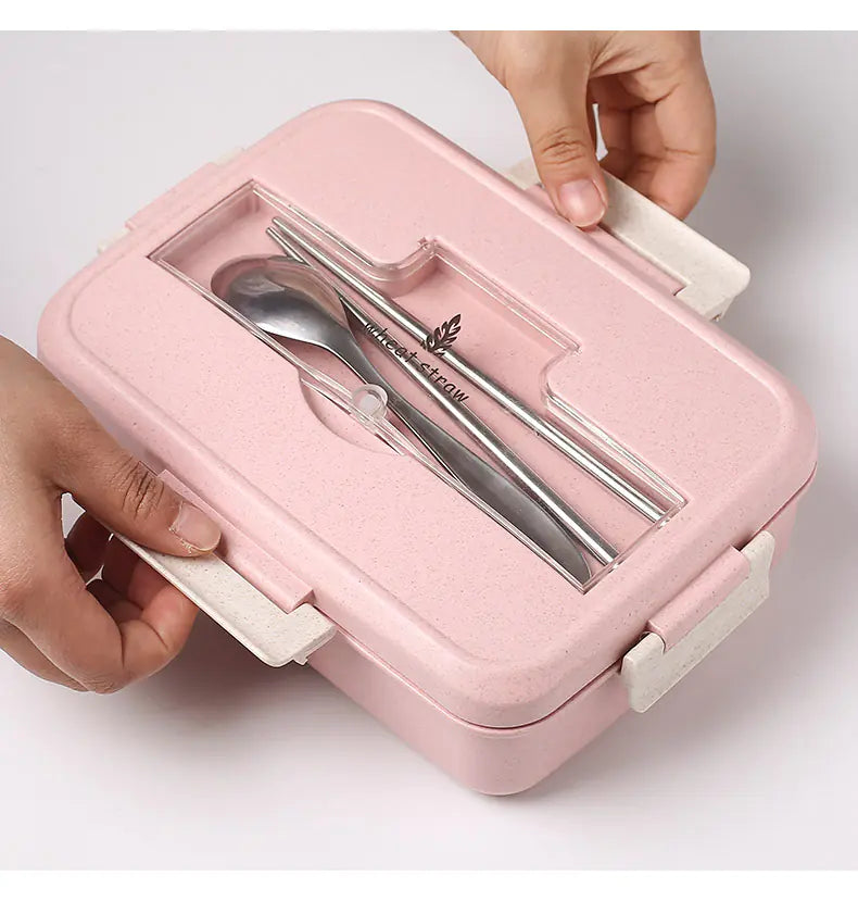 Eco-Friendly Divided Lunch Box Set