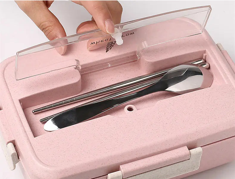 Eco-Friendly Divided Lunch Box Set