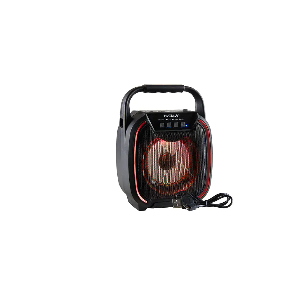 8" 600W TWS Portable Speaker