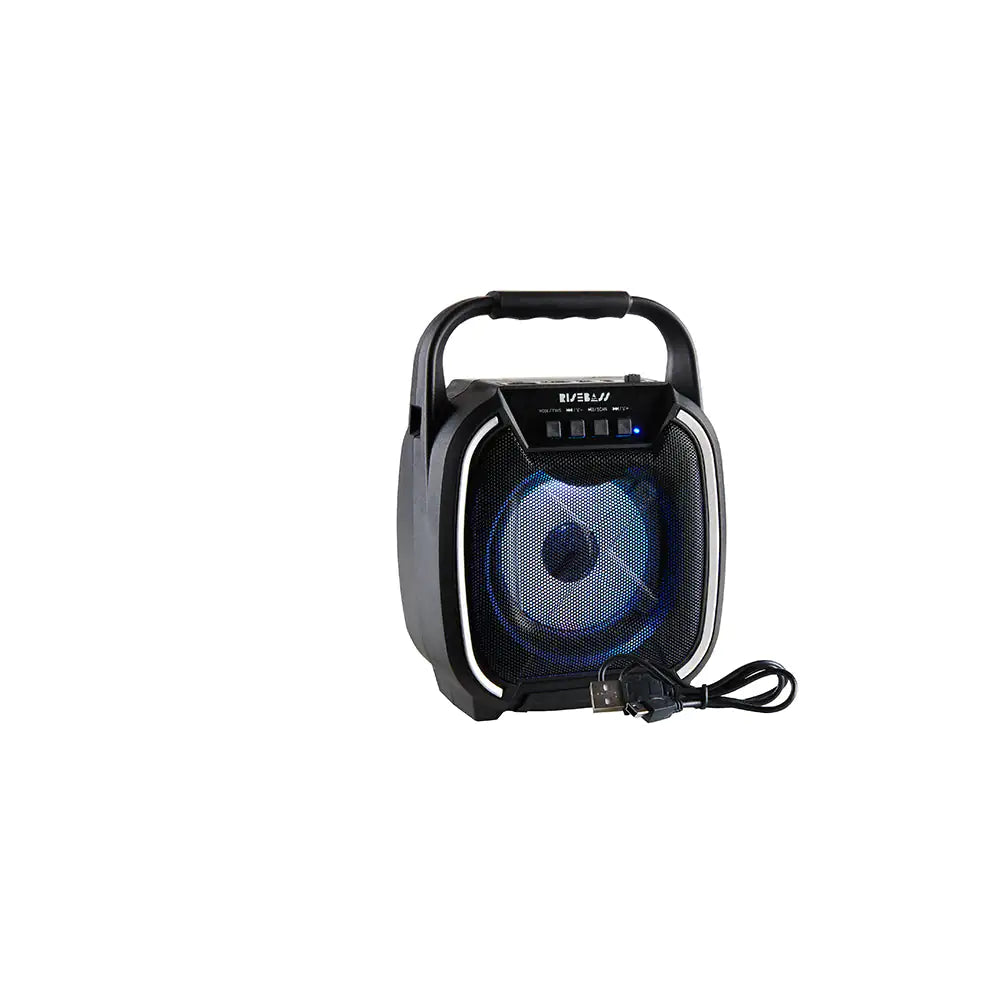 8" 600W TWS Portable Speaker