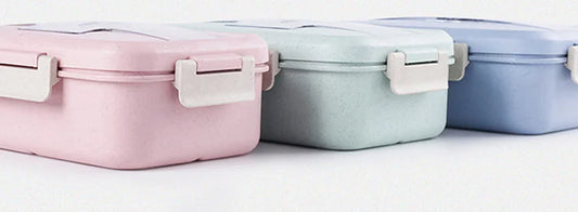 Eco-Friendly Divided Lunch Box Set